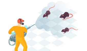 Pest Control Service